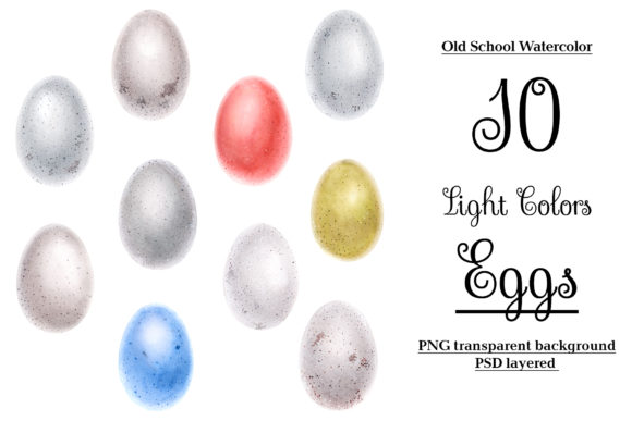 Bird Eggs Illustrations for Crafting and Handmade Business Design