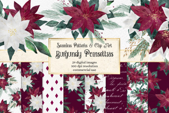 Burgundy Poinsettias: Elegant Illustrations for Seasonal Blog Design