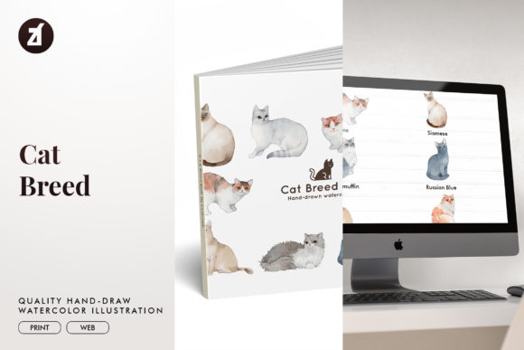 Cat Breed Set4: A Fresh Illustration Pack for Lifestyle and Pet Blogs