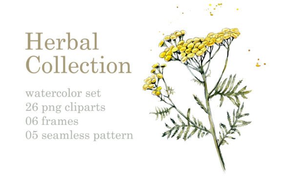 Collection Herb: Illustrations That Elevate Brand Storytelling
