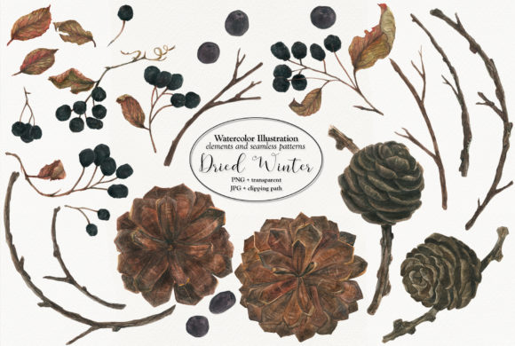 Evaluating Dried Winter 2 Illustrations for Local Branding Impact