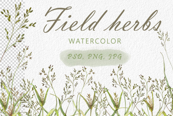Field Herbs: A Designer’s Honest Take on Real Embroidery Use