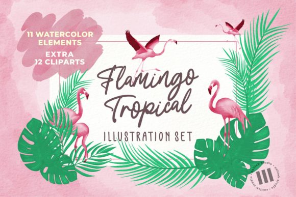 Flamingo Tropical Illustration Set: A Fresh Visual Asset for Modern Branding