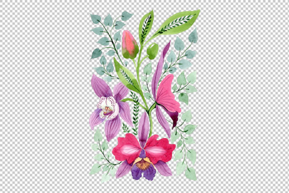 Floral Ornament of Orchid Flowers Set for Illustrations: A Designer’s Review