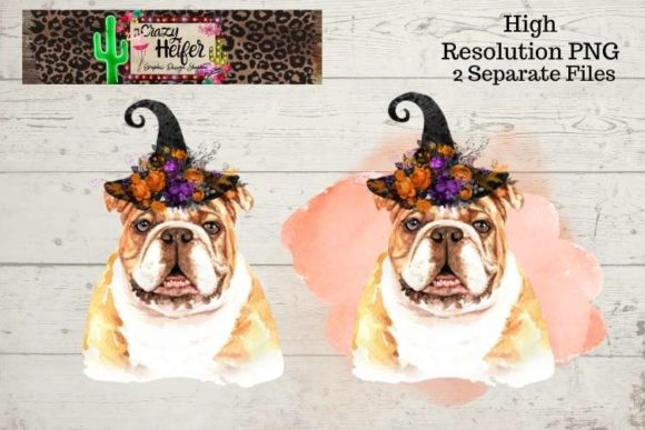 h1Bulldog Halloween Witch PNG Illustrations for Creative Sellers/h1