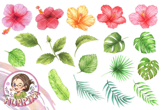 Hibiscus Flower and Leaves Illustrations for Branding and Marketing