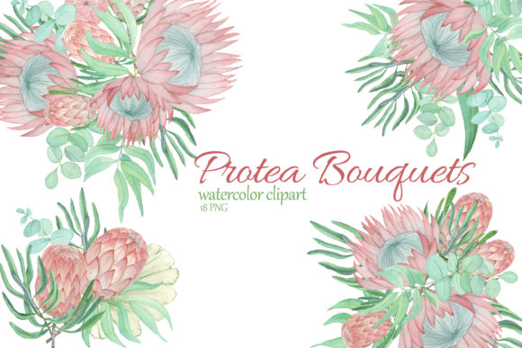 Protea and Eucalyptus Bouquet Clipart: A Designer’s Take for Local Business Branding