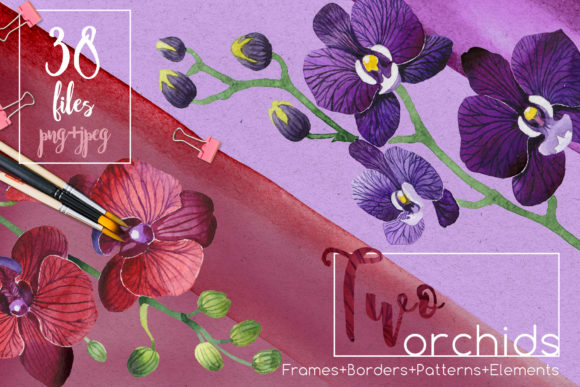 Two Orchids Aquarelle Set: A Designer’s Review for Branding & Creative Projects